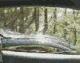 [Image: rame.gif]