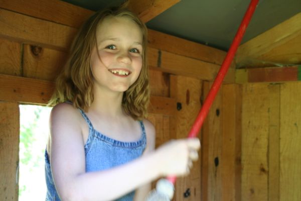 IMG 4936